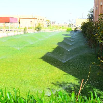 Photo Col 1