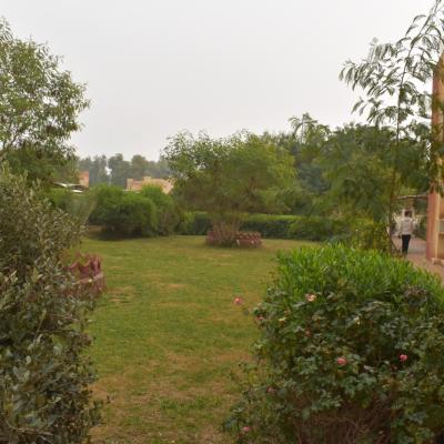 Photo Col 2