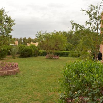 Photo Col 4